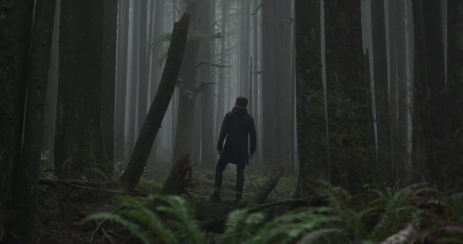 The person stands in the forest