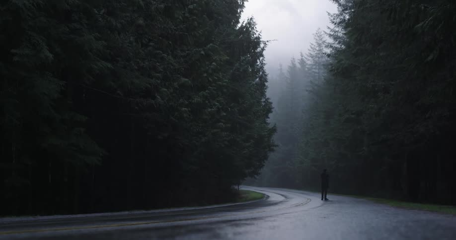 Man stands in middle of forest road