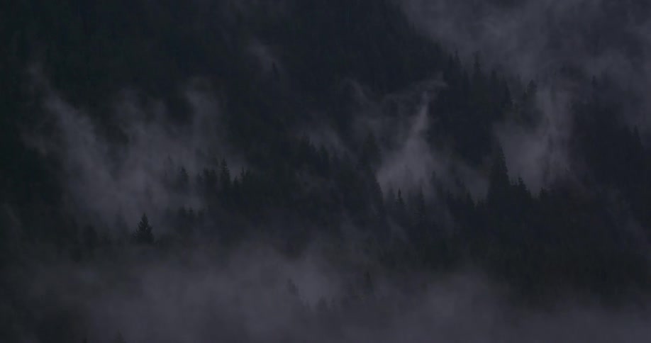 Clouds covering a forest