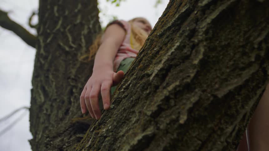 A young girl sits in a tree