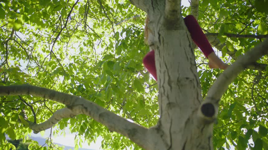 Two girls climbing a tree