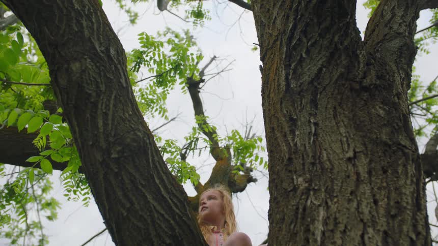 A white girl sits in a tree and looks around
