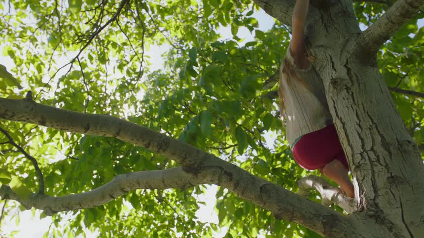 Little blonde girl climbs a tree