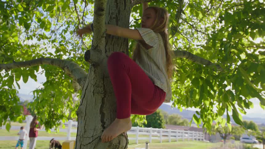Little girl climbs down the tree
