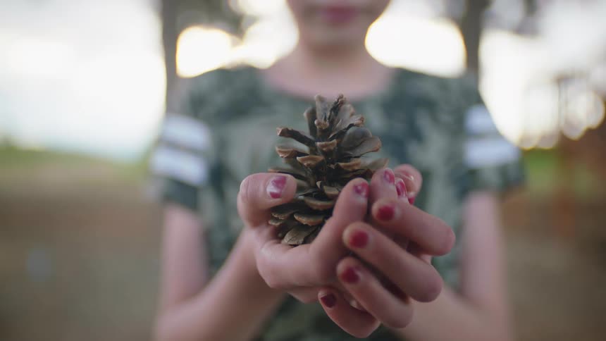 Young girl holds a pine cone in her hands