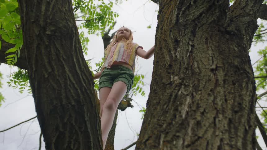 A young girl stands in a tree