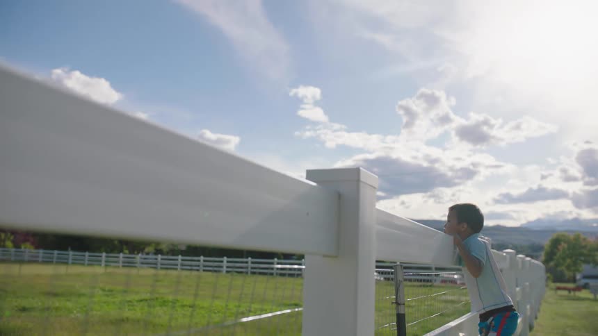 A boy climbs on a fence in a large yard under a cloudy sky