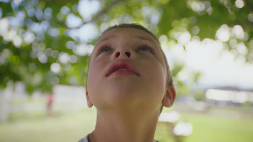 Little boy looks up at the tree