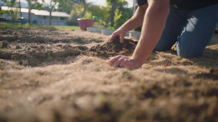 A man digs and sifts the garden soil on his hands and knees