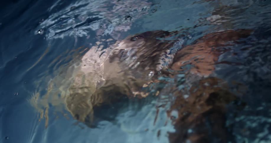 A woman with a white dress underneath water