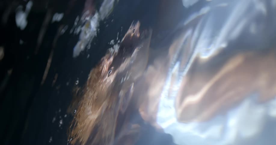 A woman with a white dress dipping her head underneath water