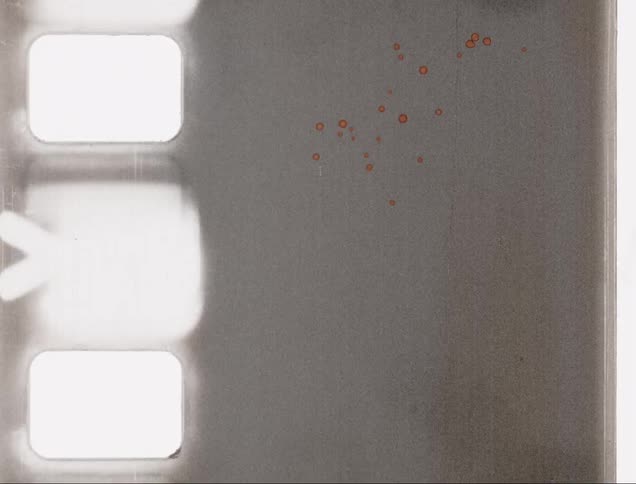 Old film stock showing heavy signs of speckling and deterioration