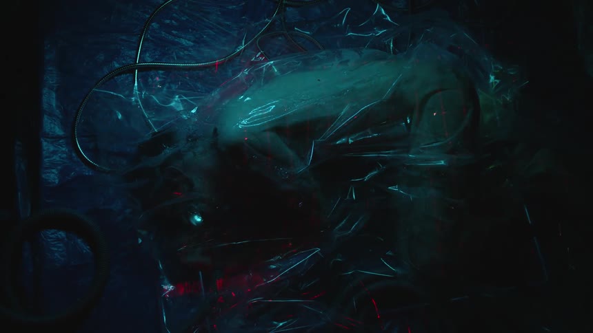 Lights shine on a white person wrapped in plastic