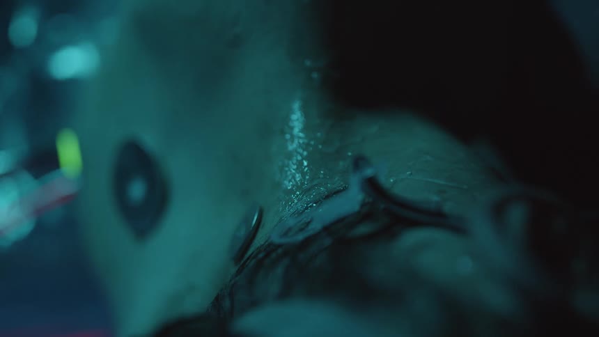 The horse spins around