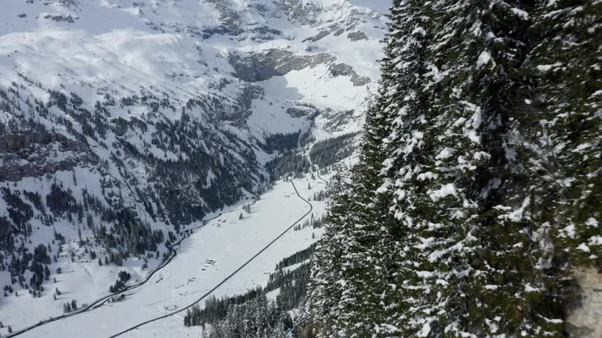 A cliff with trees with a snow covered mountain in the background