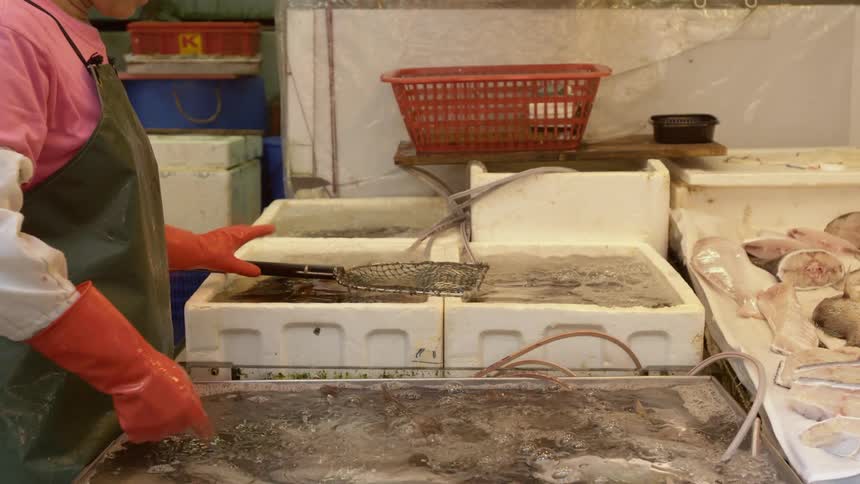 A woman cleans fish in a market or restaurant