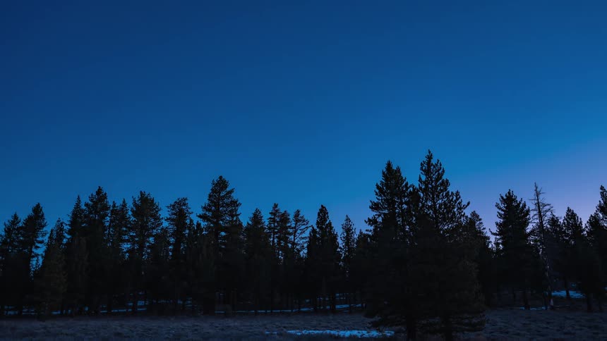 The darkness shrouding an evergreen forest parting as the dawn sun rises