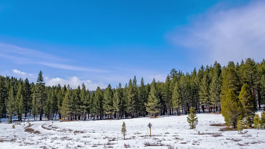 Time lapse of snow in a forest