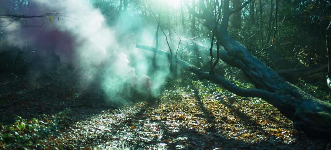 Something smoking on the ground in a forest