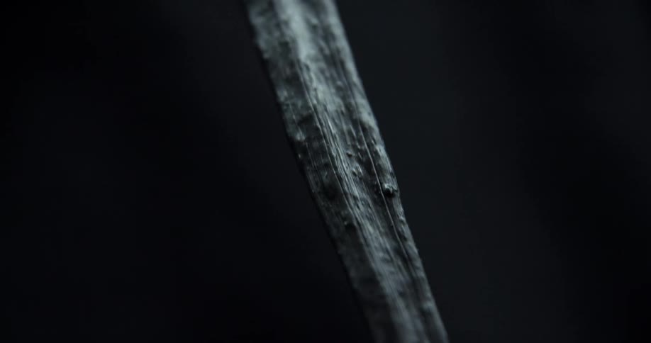 White black and gray colors that look like a birds beak