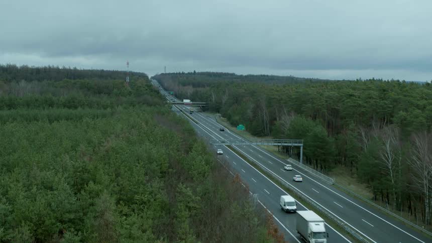 Cars are driving on a highway by a forest area