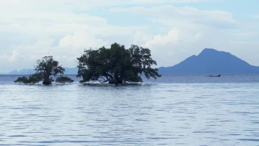 Boat passes between mountain on horizon and two trees standing on small earth plots surrounded by water on foggy day