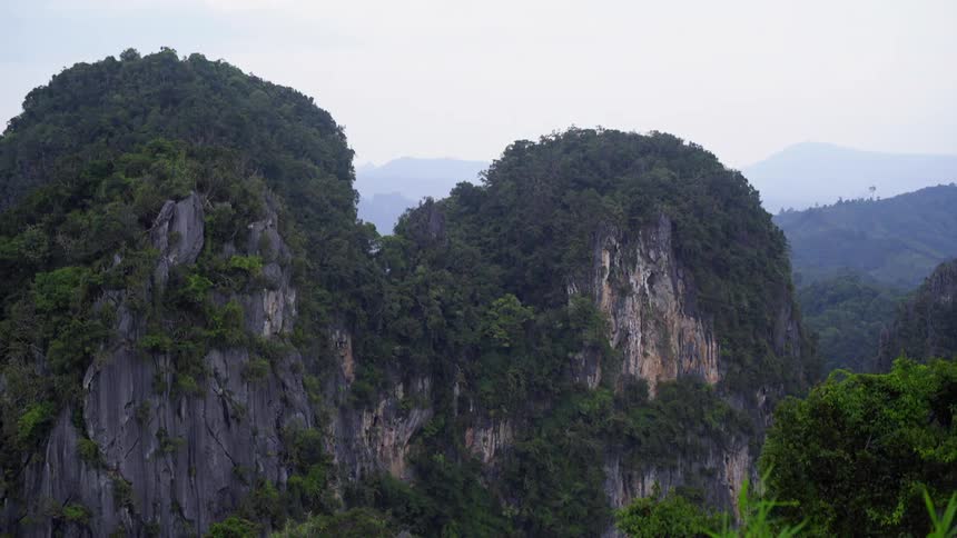 A view of mountains covered with trees is displayed