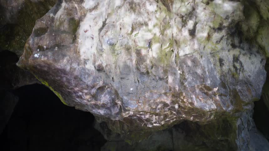A rock partially covered in moss reflects water from a pool