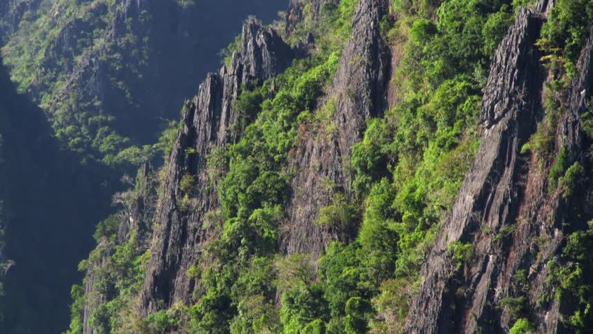 Stone poking through vegetation on the sheer cliffs of a mountain
