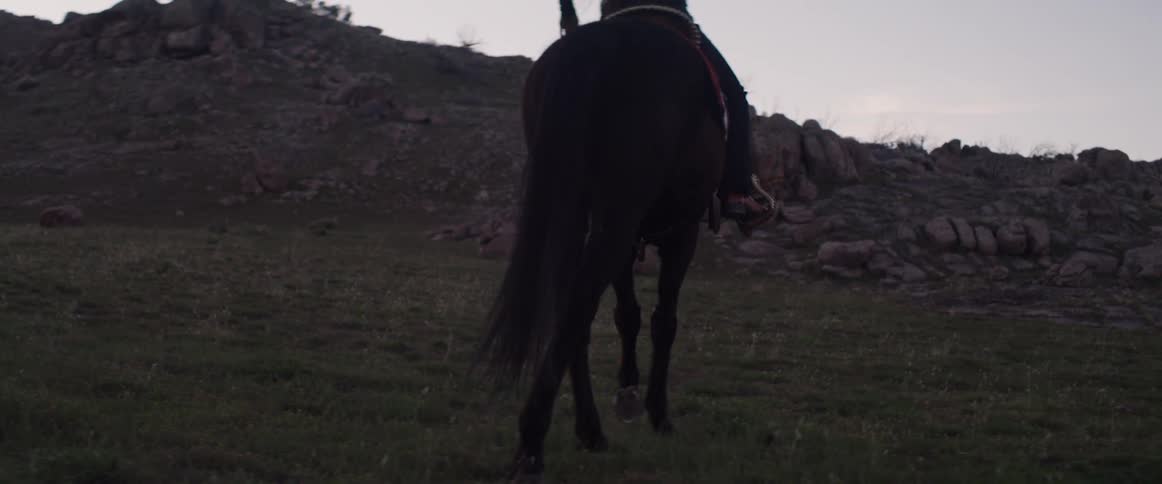 Woman rides a dark horse in the field