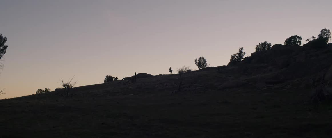 Lone horseman stands on top of darkened hill at night