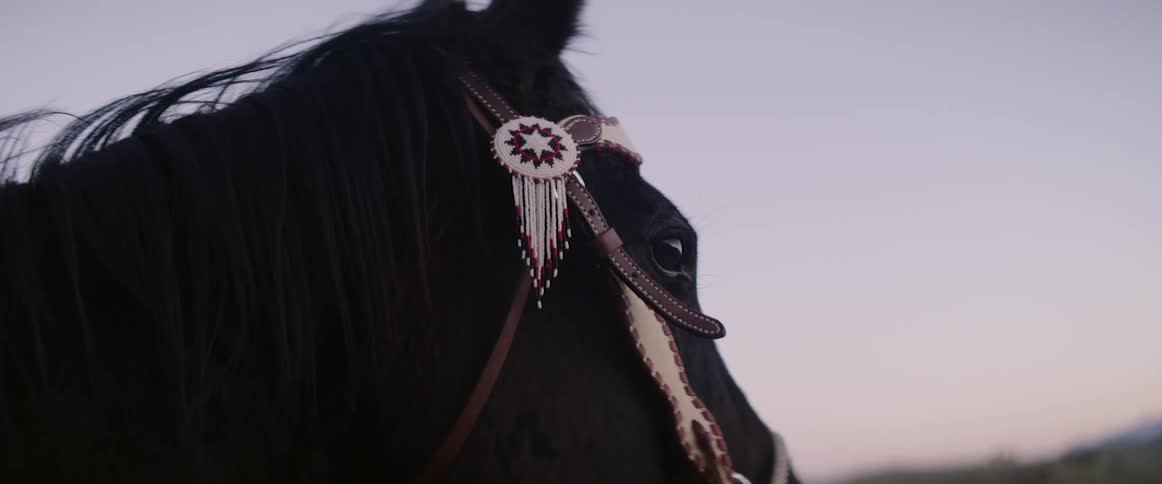 The horse sits outside