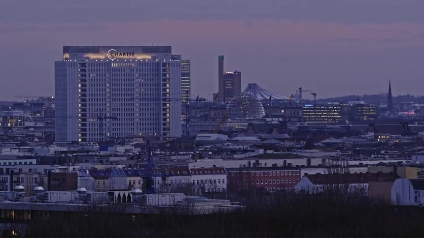 The bird flies near the buildings