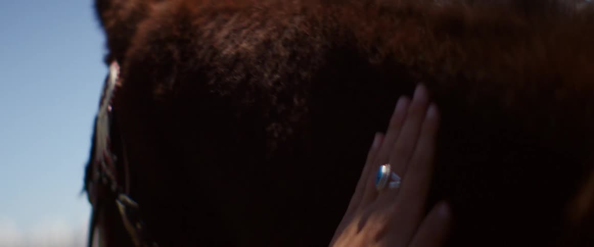 A person stroking the neck and shoulders of a saddled horse