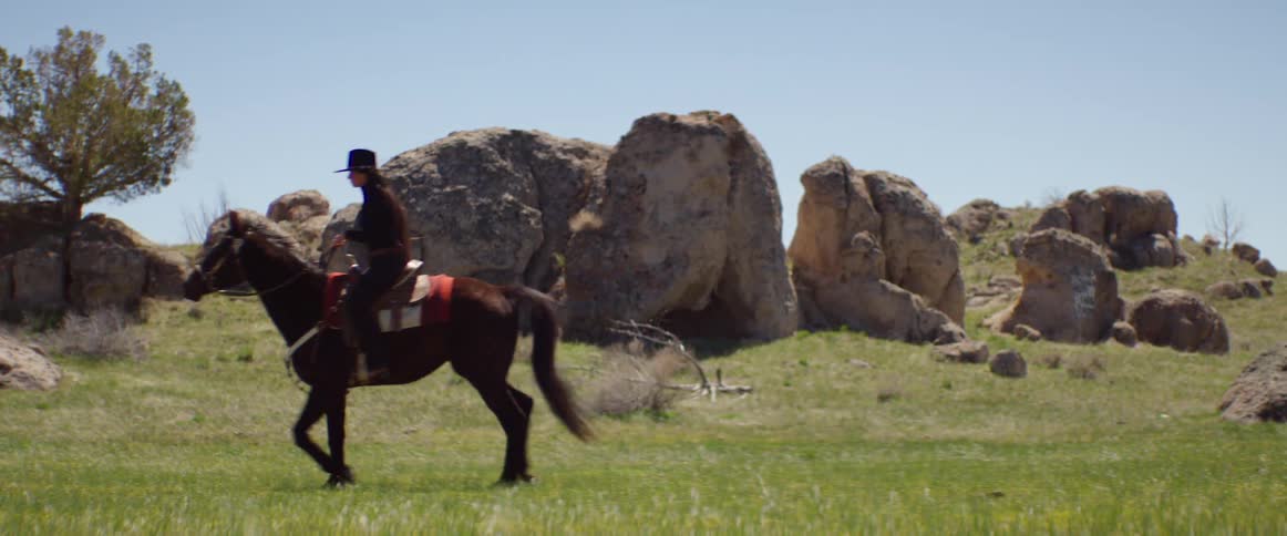 The person sits on the horse