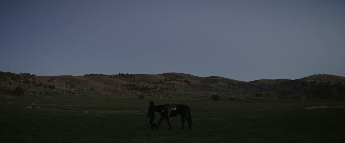 A cowboy leads a horse across a field at dusk
