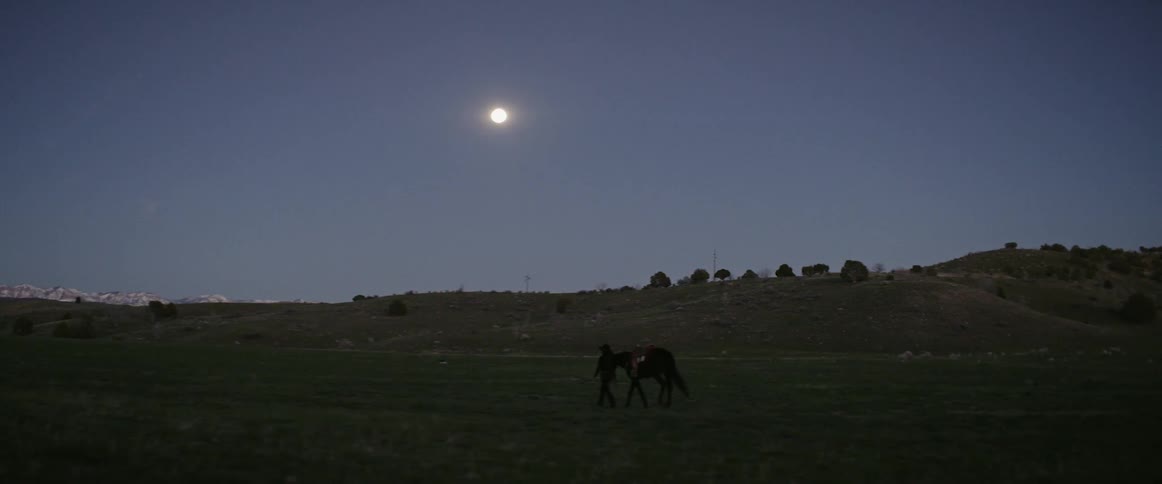 A woman walks across a field with her horse