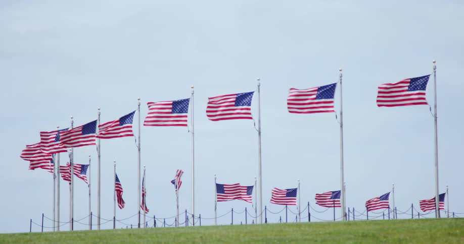 A grassy field with american flags flying in the wind with the sky in the background