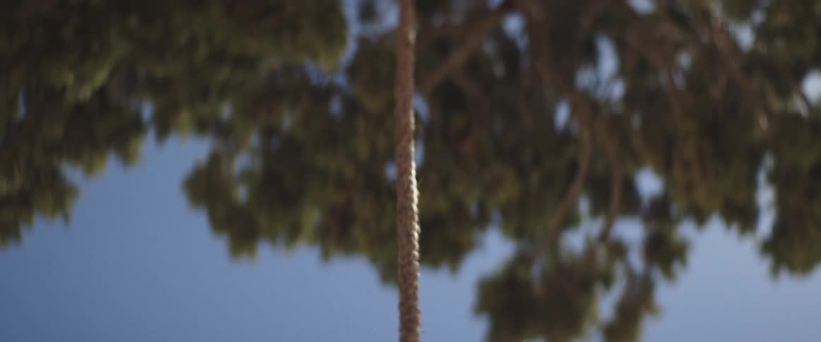 Man with a rope around his neck is about to be hanged from a tree