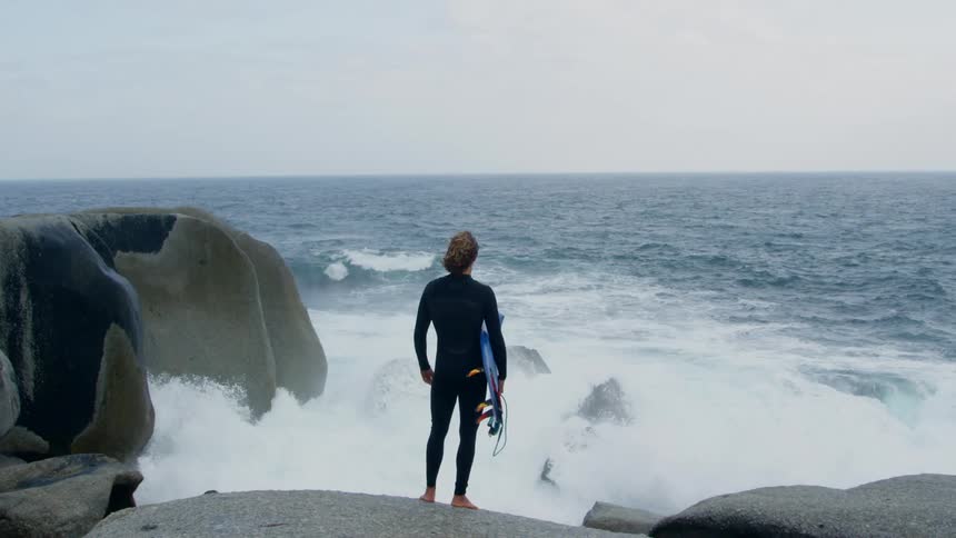 Person stands on shore holding surfboard