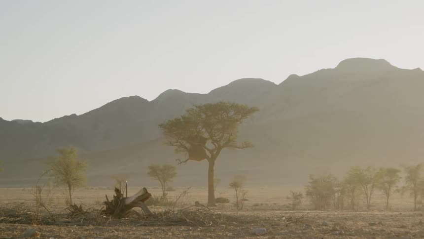 Dust and dirt across a desolate landscape