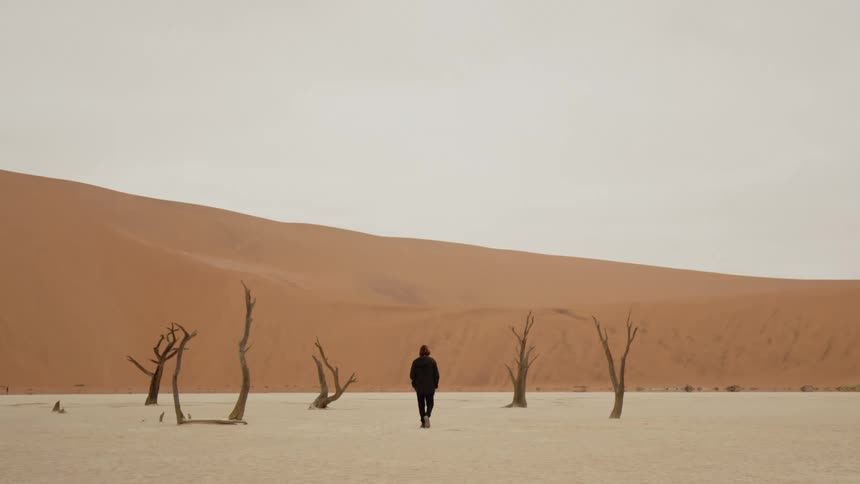 A person walks through a desolate desert