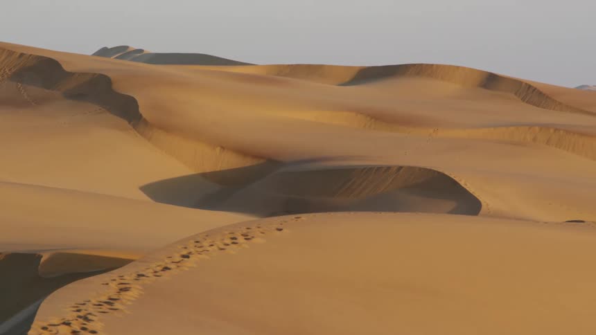 Tracks cross a desert filled with sand dunes