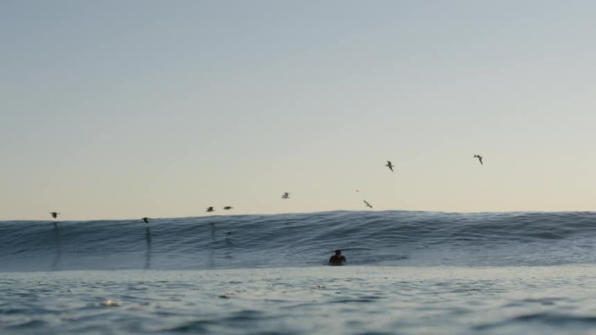 A man paddles on his surf board and birds fly overhead