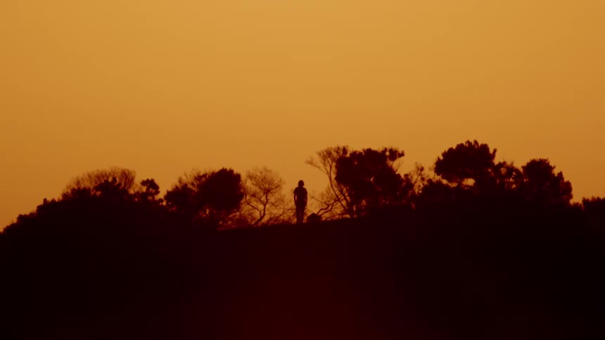 A person stands among trees on top of a hill at sunset