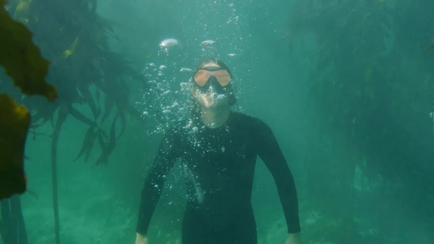 A diver swims underwater and then floats up toward the surface