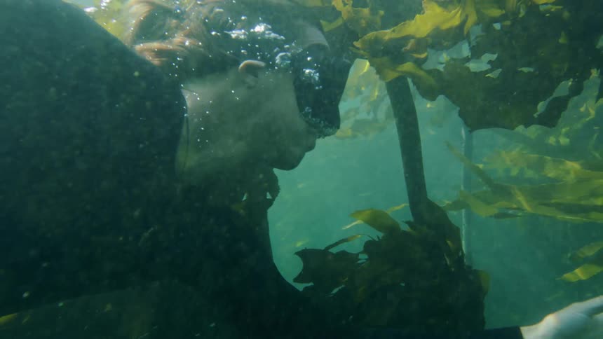 A woman swims underwater