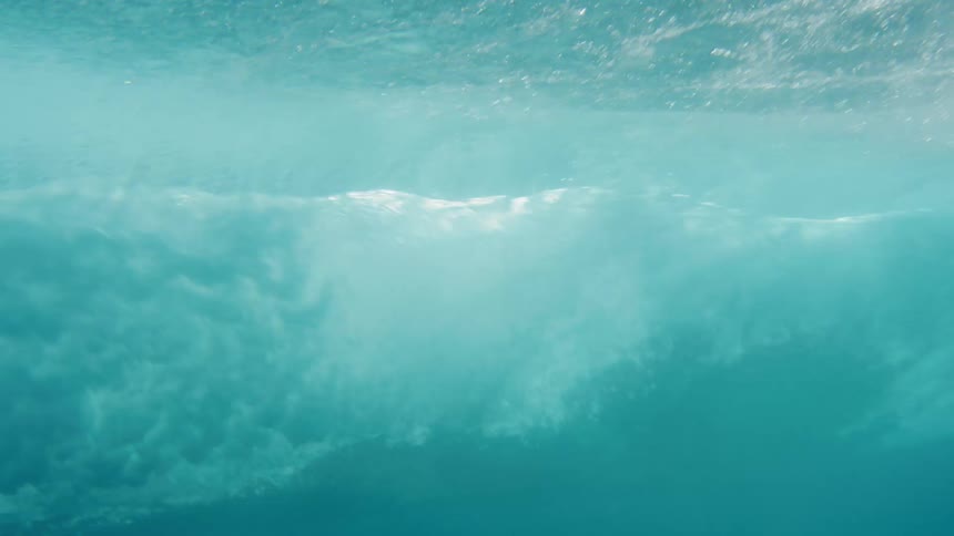 A camera underwater captures a fish swimming by and then breaks through the surface to glimpse the shore