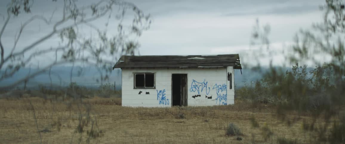 Brush sits near an abandoned building covered in graffiti