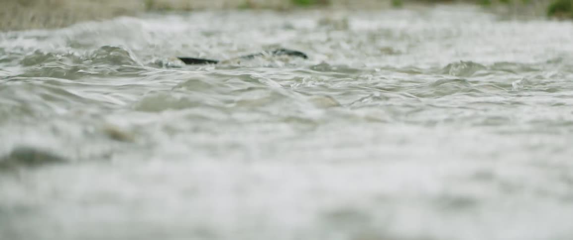 Person in rubber boots crosses a shallow stream